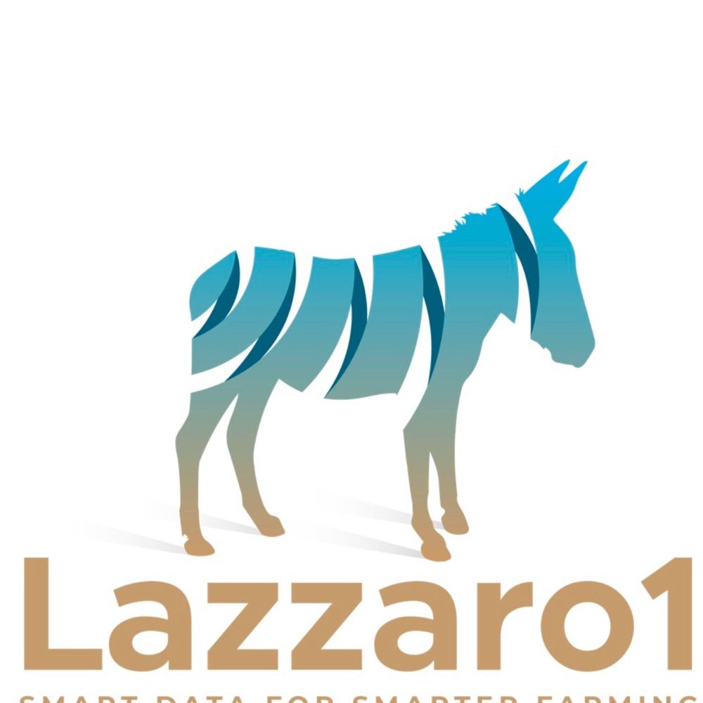 Lazzaro One
