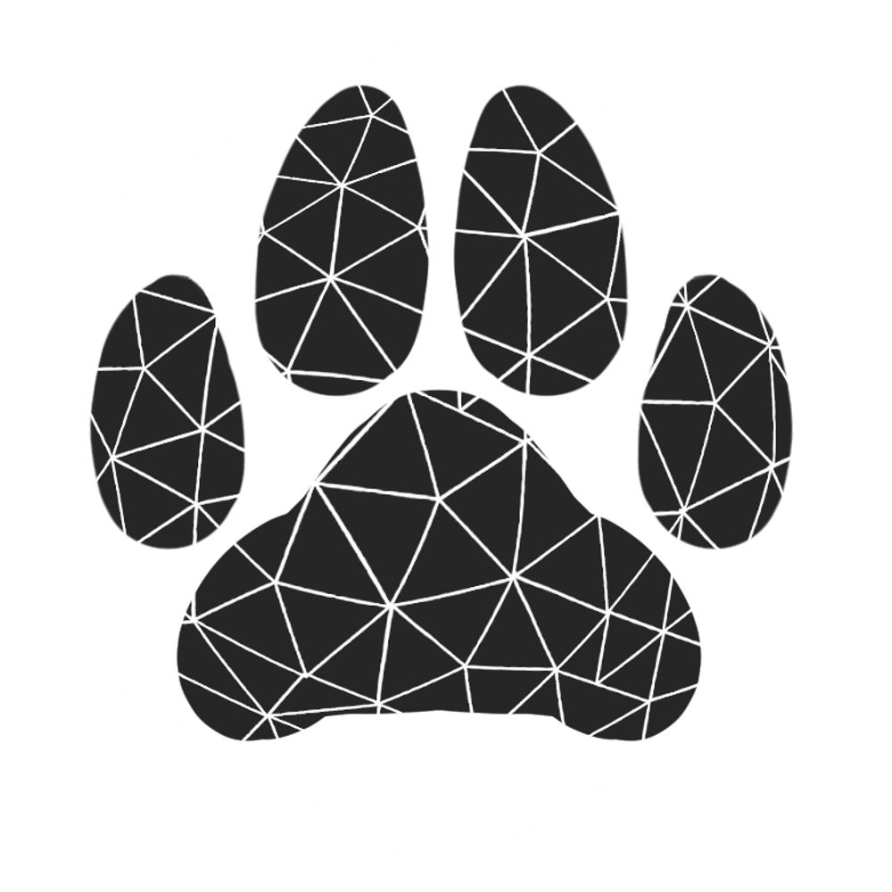 Pawlygon Studio 