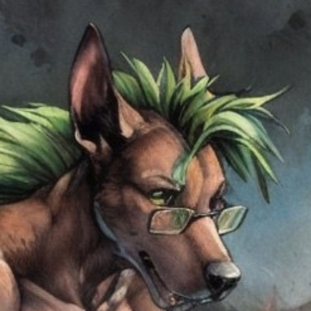 Corbeau Khaladog