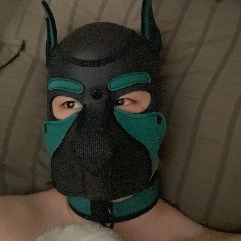 Hunter Da Pup