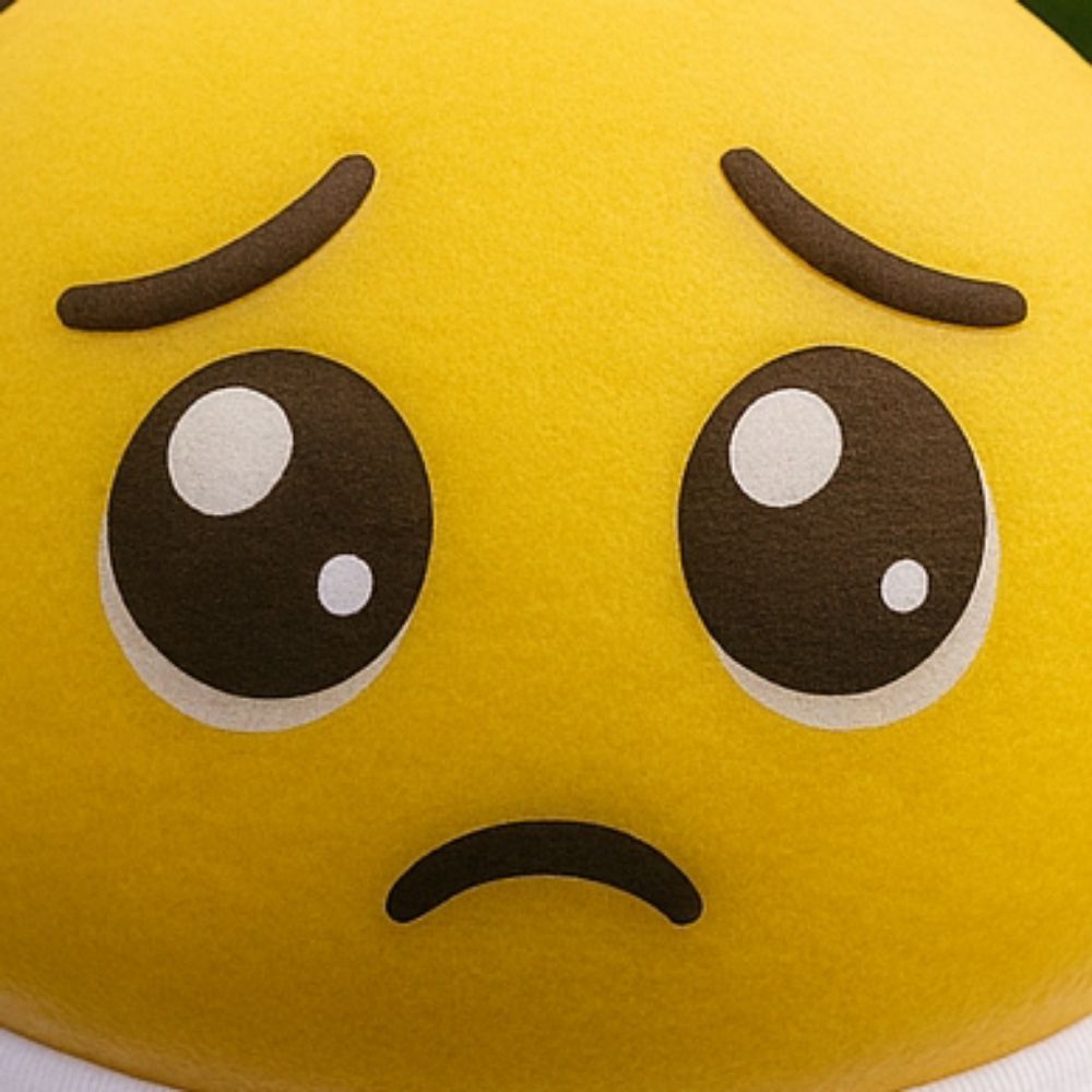 ぷー🥺
