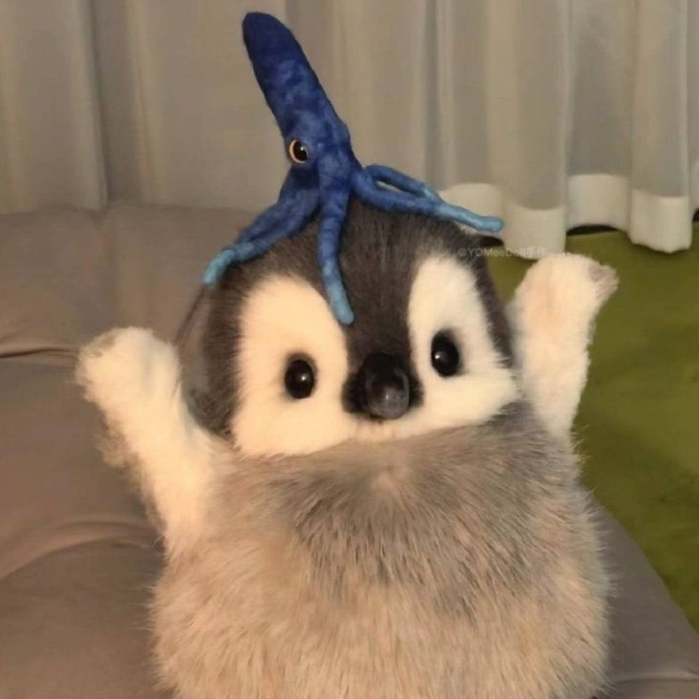 롤