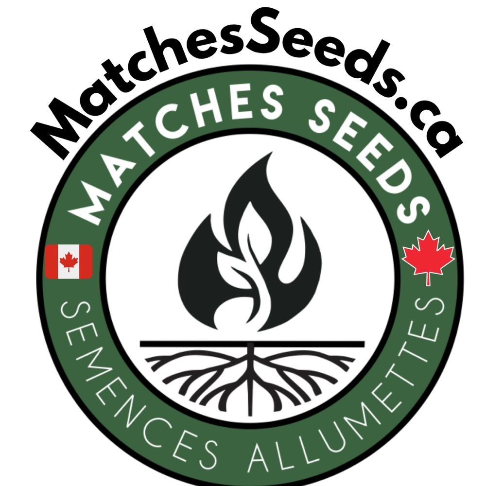 🇨🇦 Matches Seeds