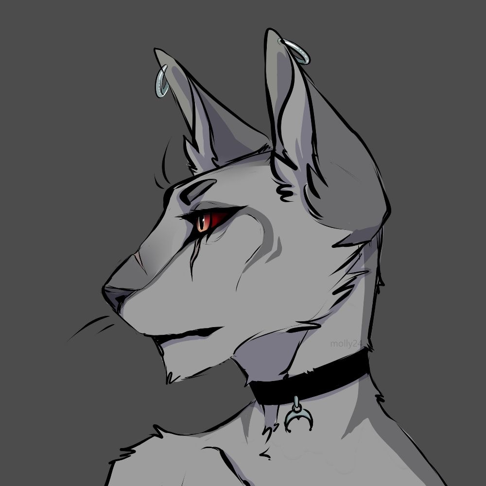 Sheedra