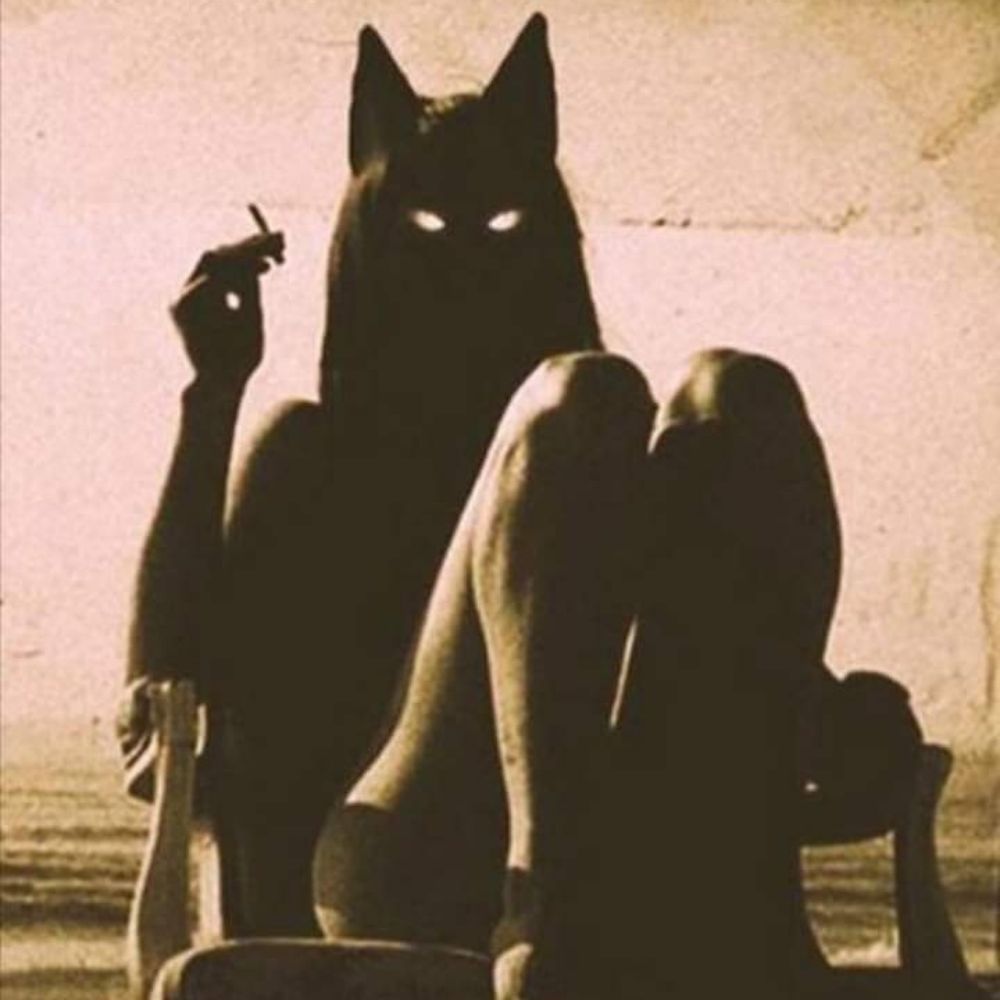bruxa das trevas 🦇