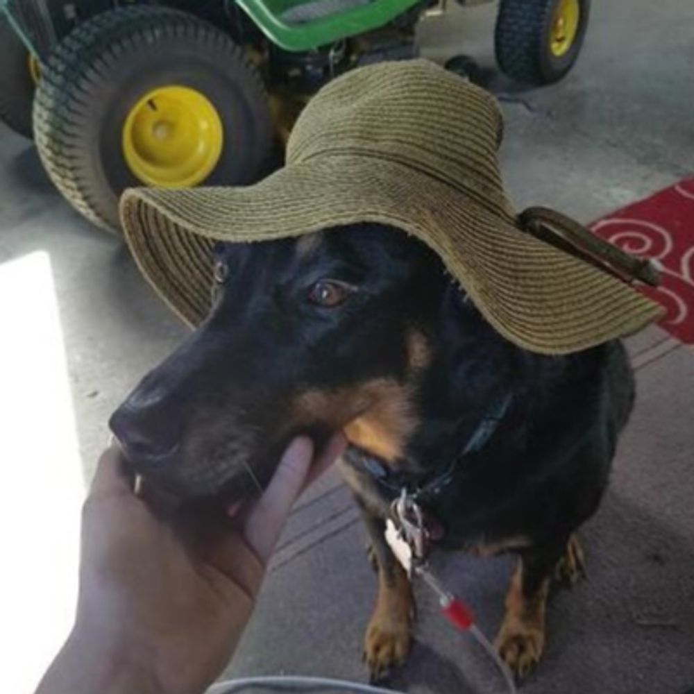 Chad