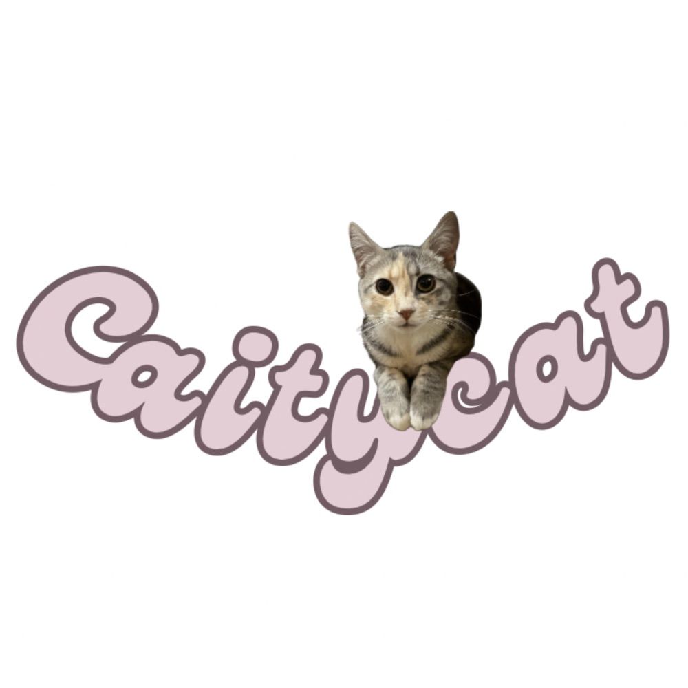 Caitycat Blog