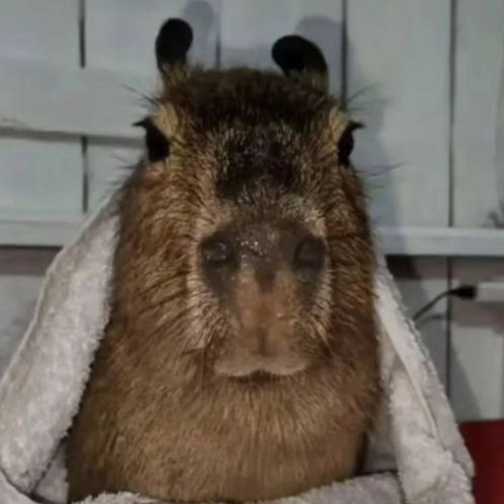 락규