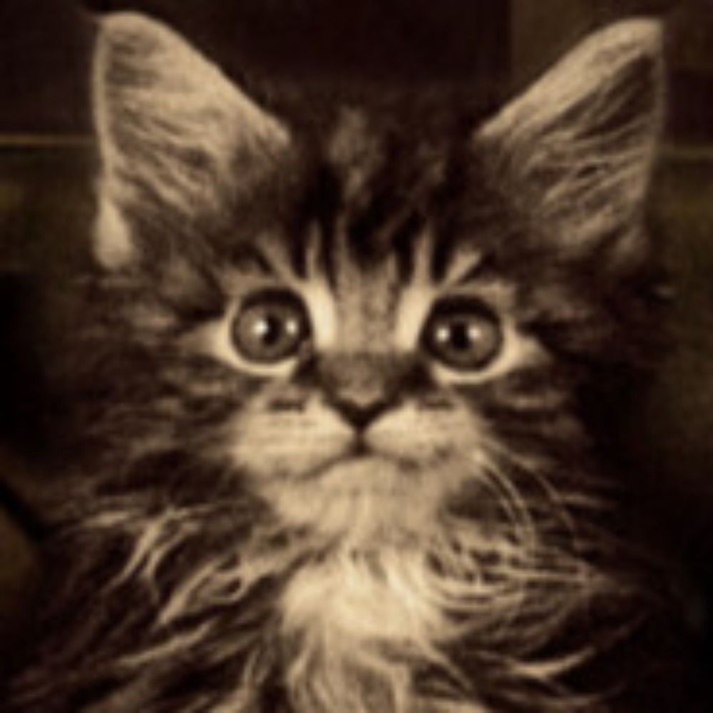 lemmy
