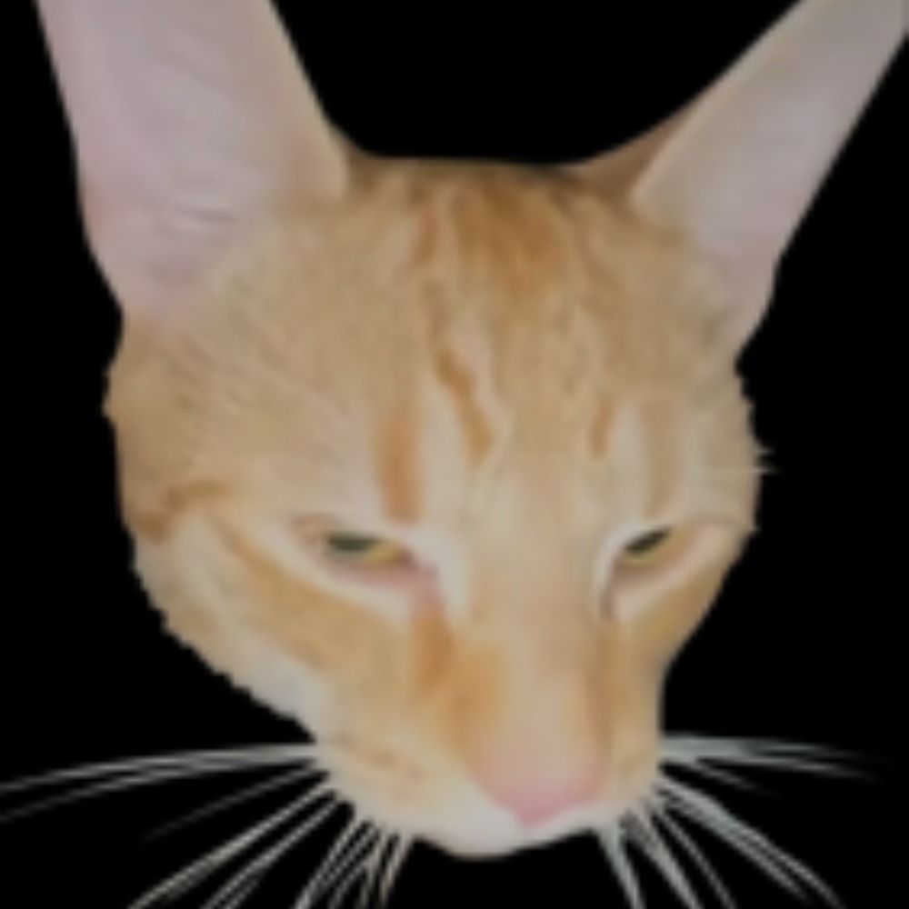 pegi