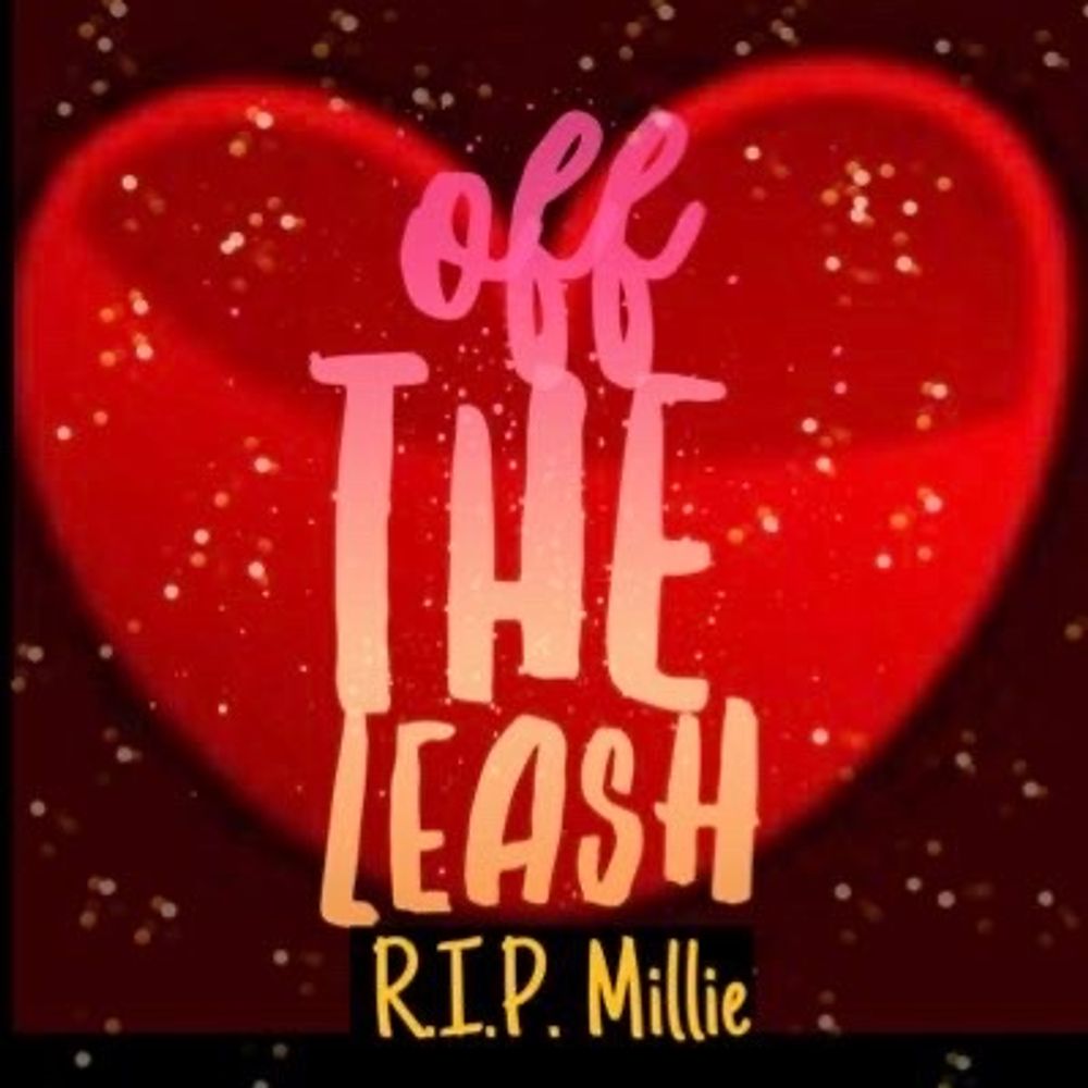 OffTheLeashFP
