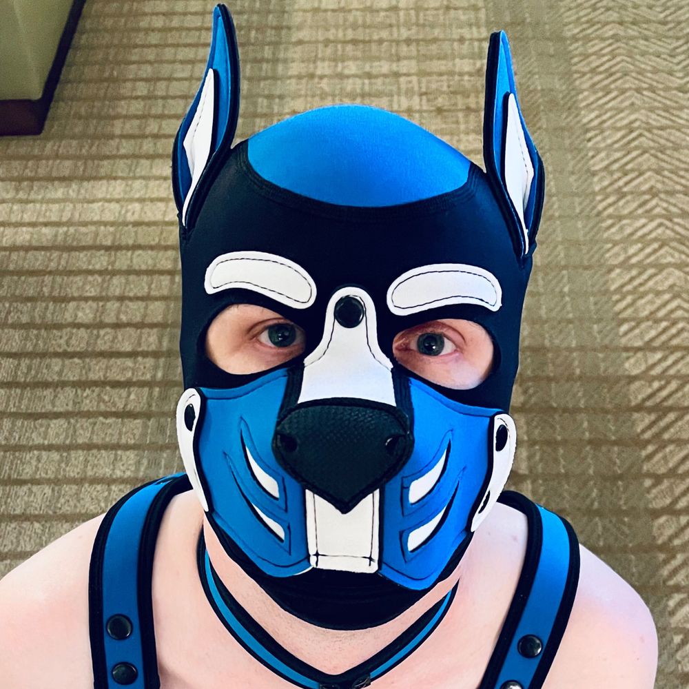 Pup Karma 🐾