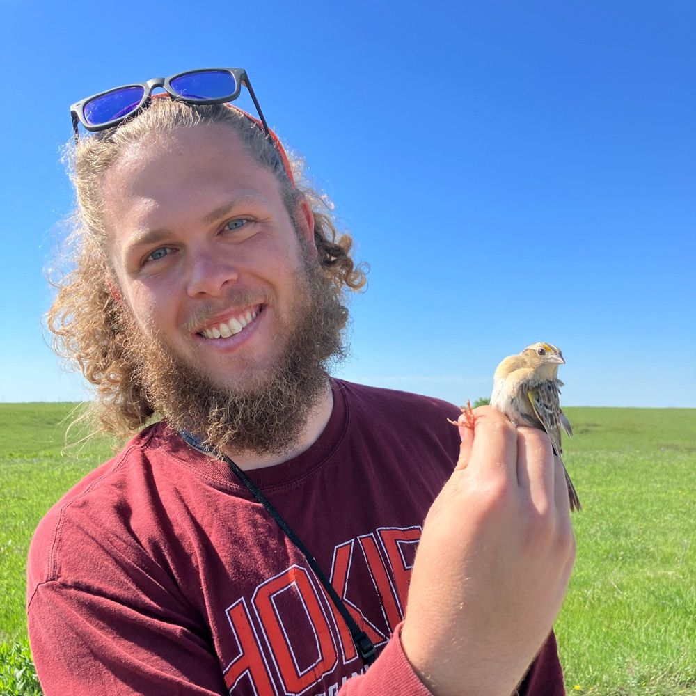 Logan Anderson