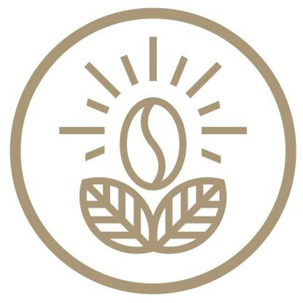 kopididid