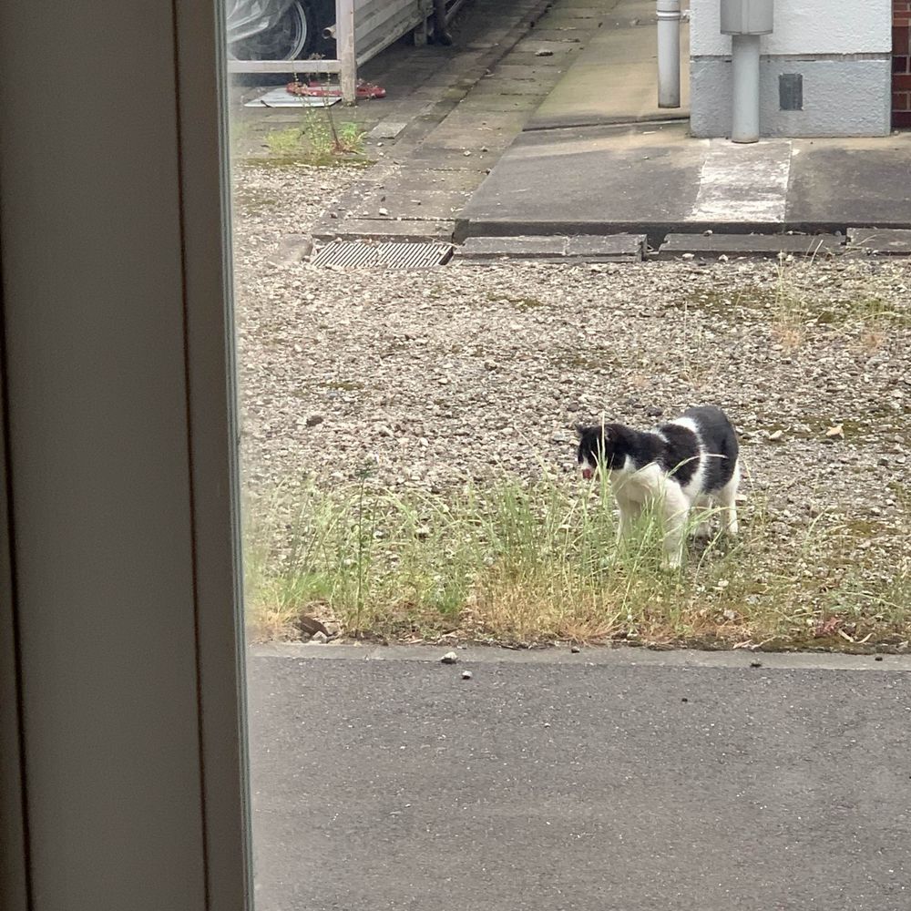 僅か