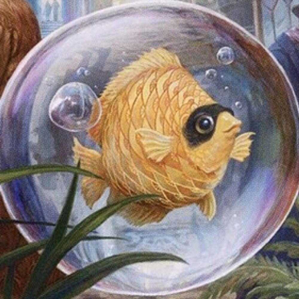 mond 🐡
