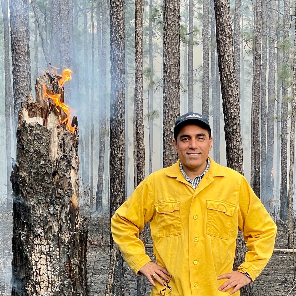 Ajay Sharma: Silviculture and Forest Ecology