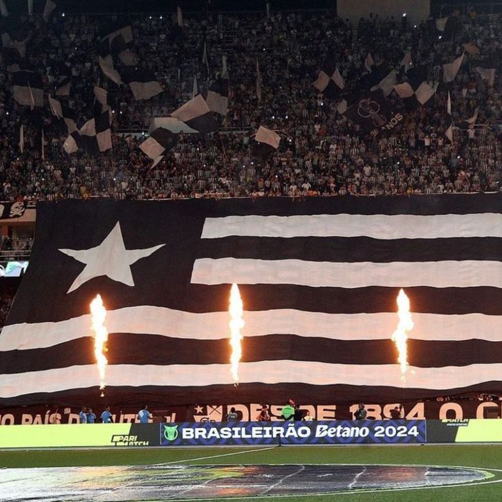 Botafogo Hinchas