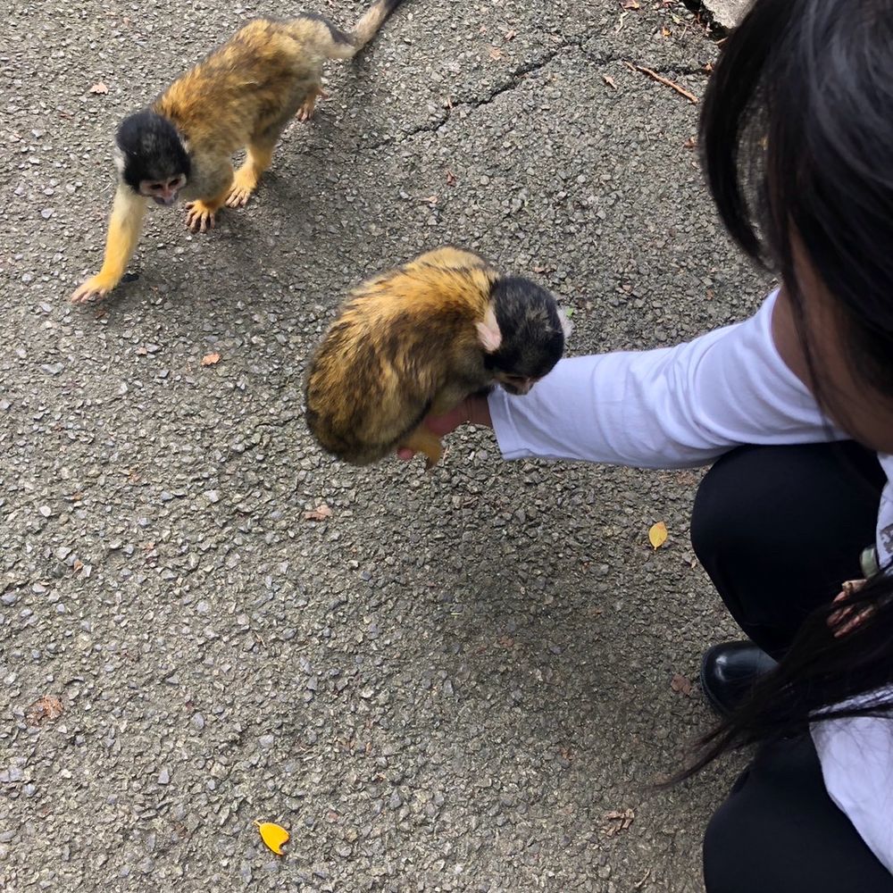 ちかんぬ