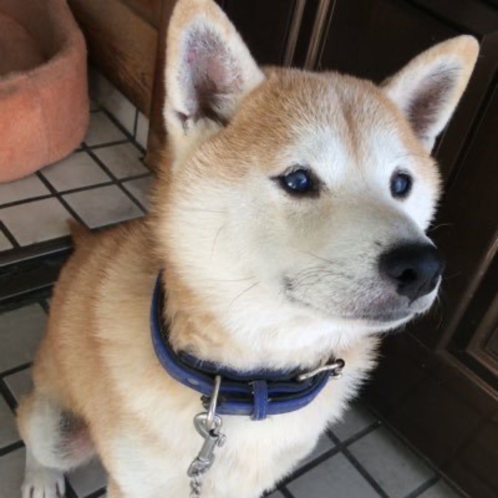 tak310ka1032.bsky.social