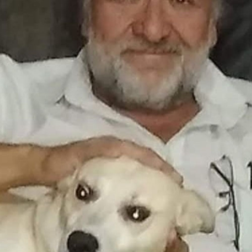 David Roca Basadre