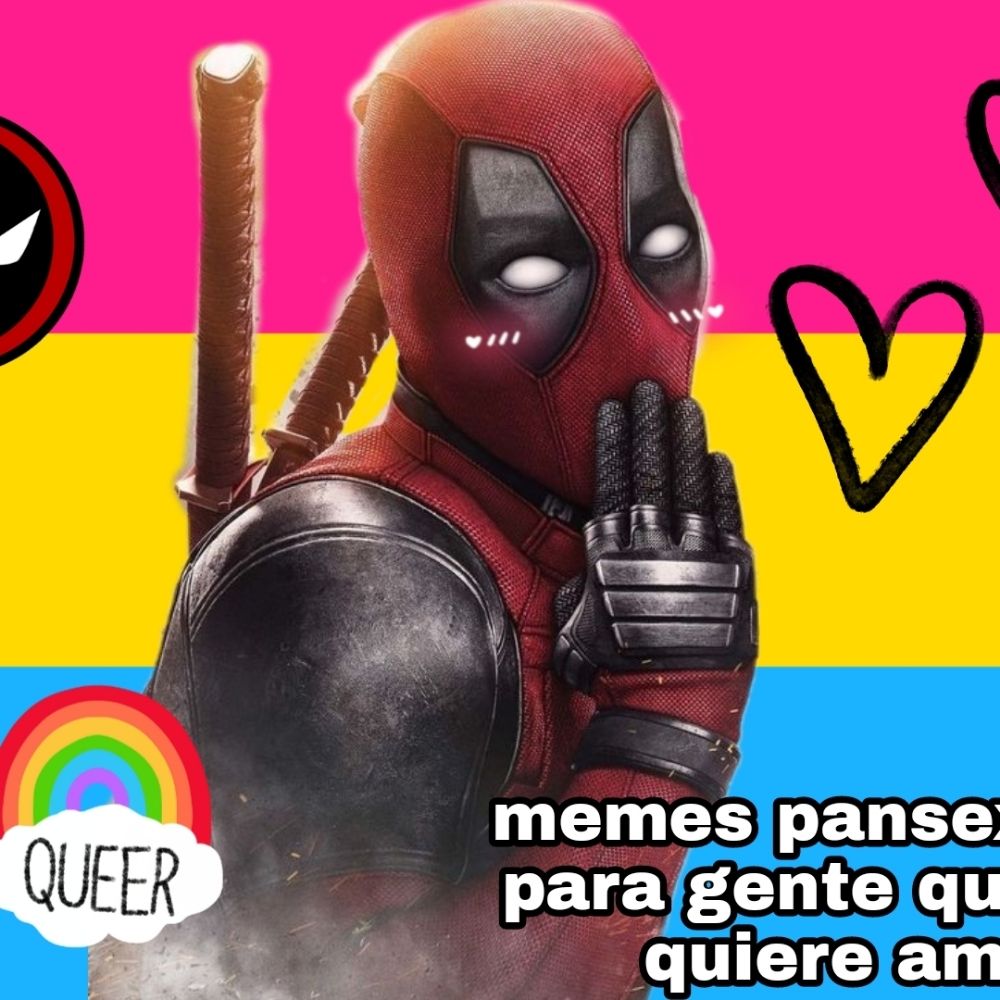 Memes pansexuales para gente que sólo quiere amor