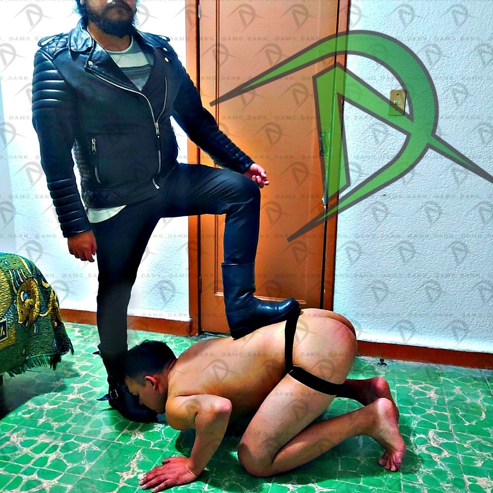 Amo DANN