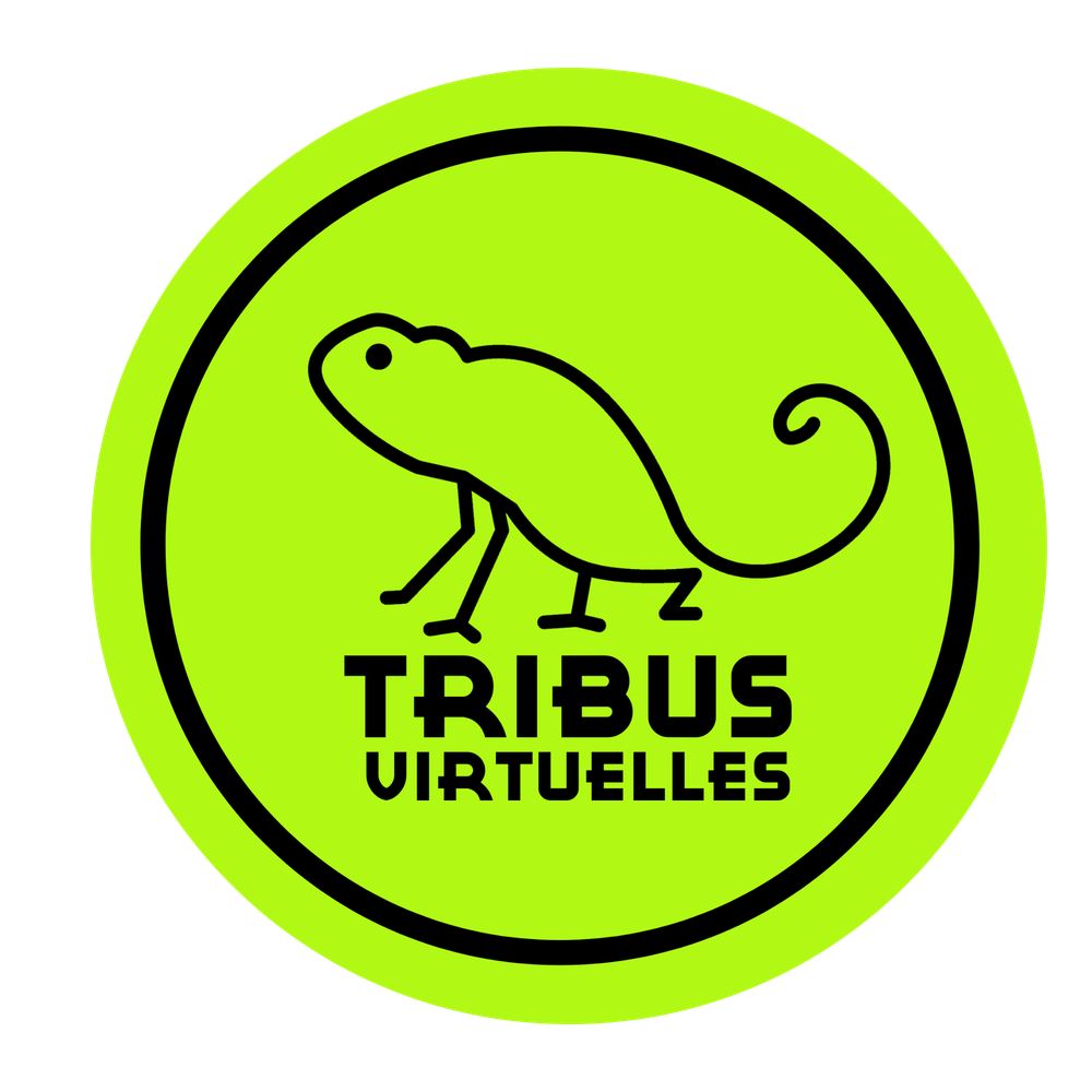 Yvonig Le Mer Tribus virtuelles