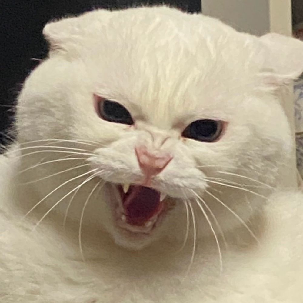 ｳﾆ