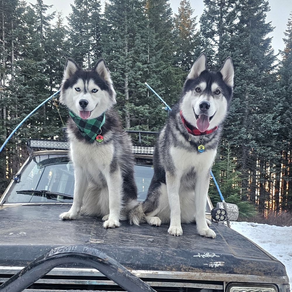 Athena & Aurora