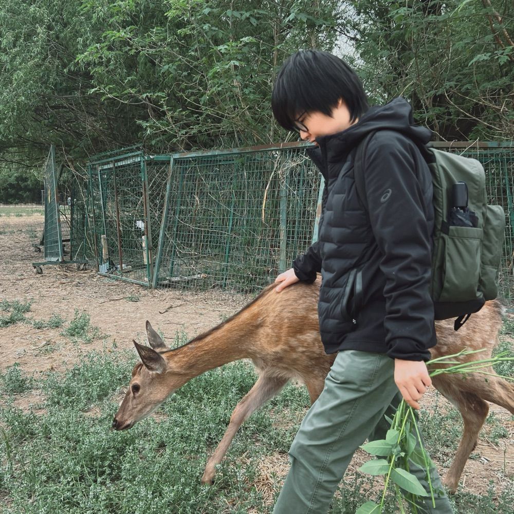 Qin Chen