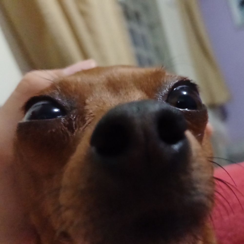 Namorado na Giiiiiiii