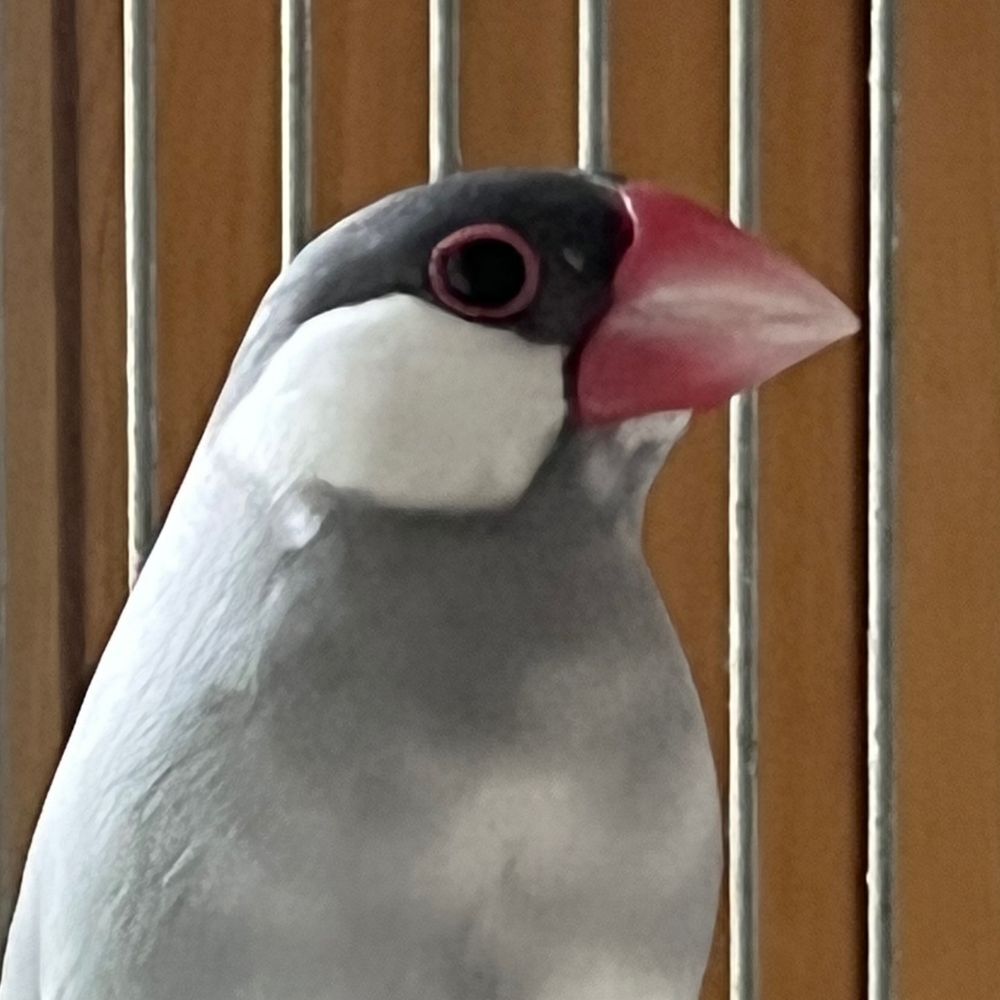 ﾄﾘｨｰ‼︎
