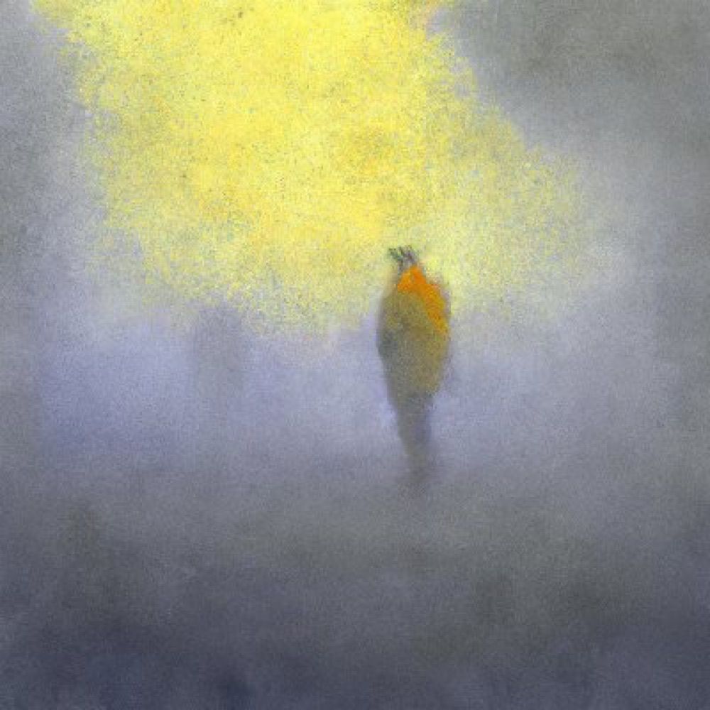 Anne Ouyang