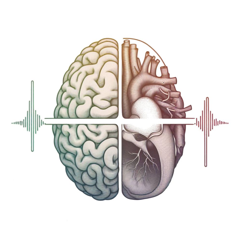 BodyBrainBehaviour Lab