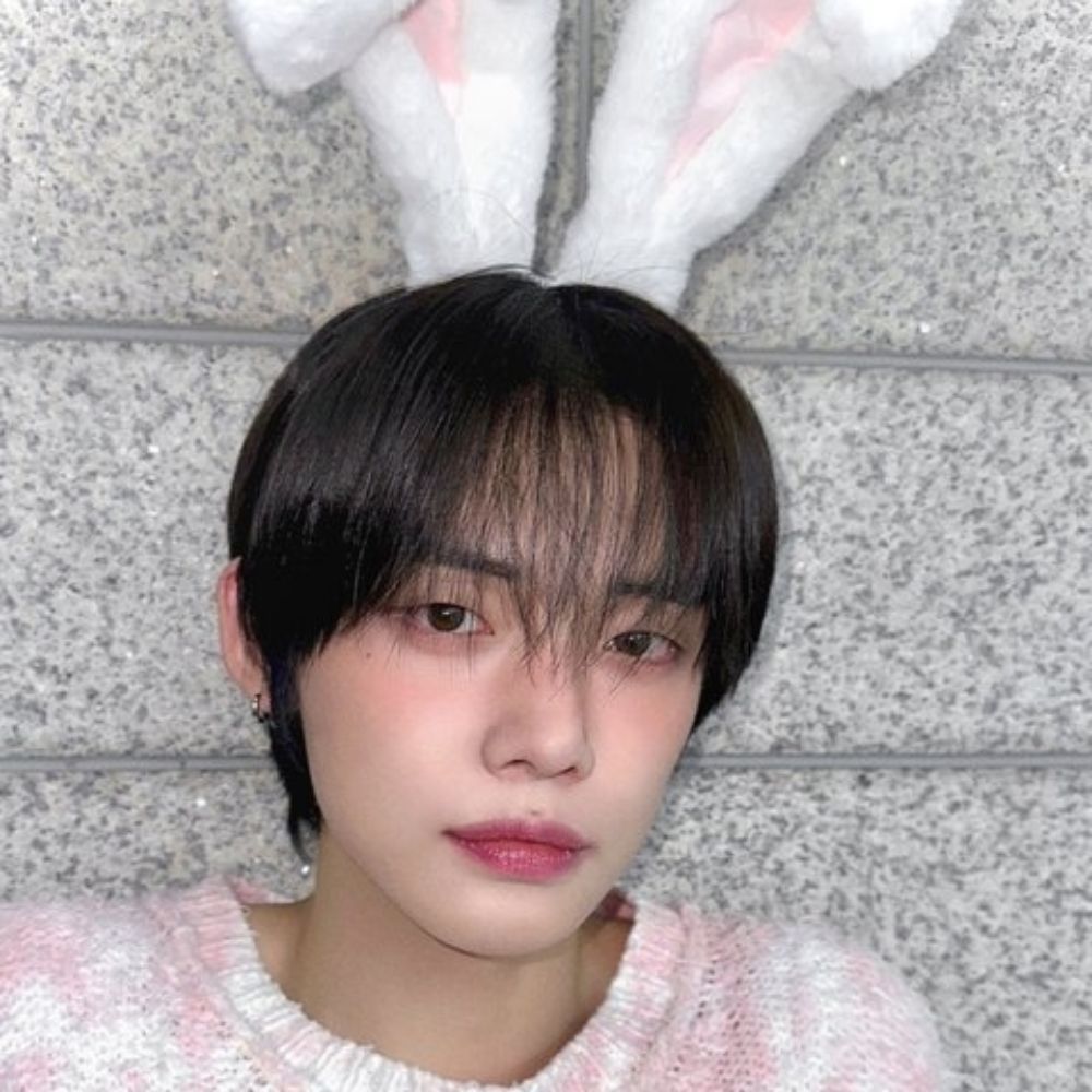 vava 🐰