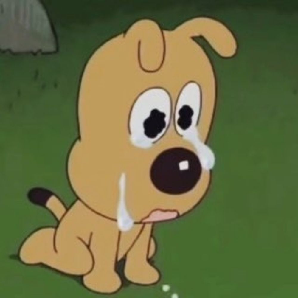 쫌비