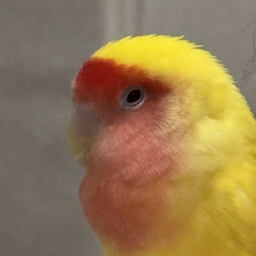 유영