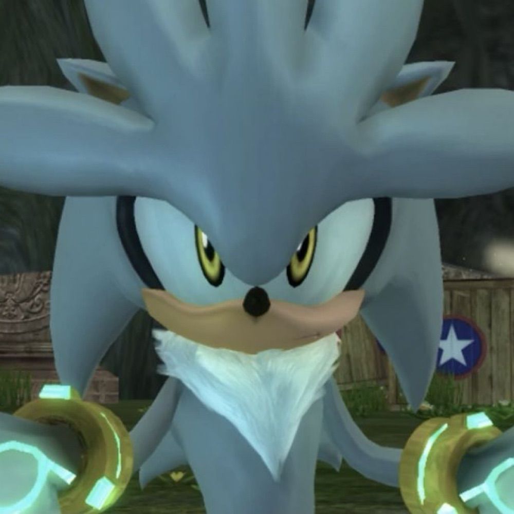 #1 Silver The Hedgehog Fan