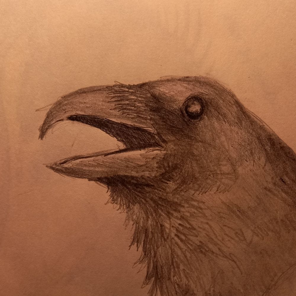 AegisOwl
