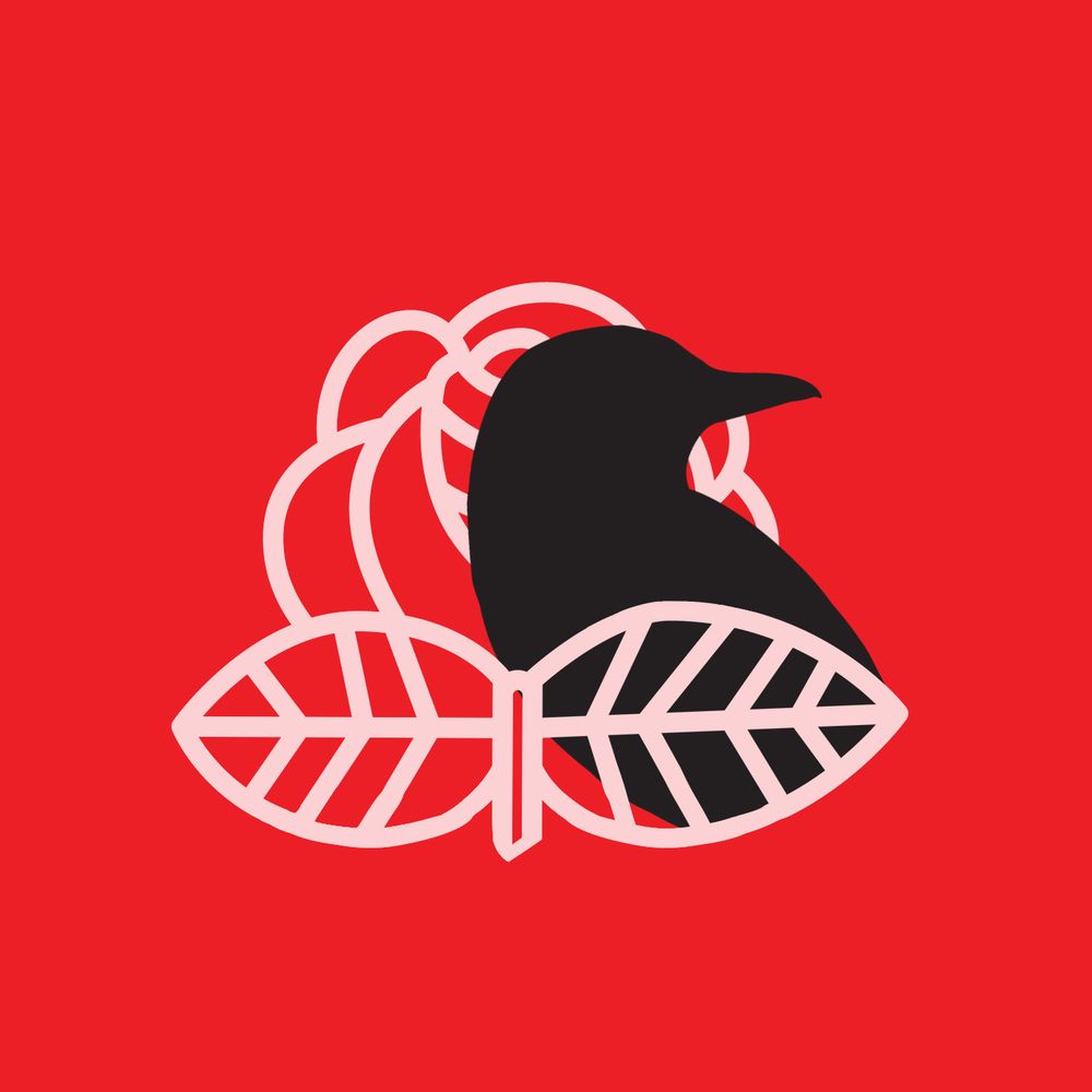 Middle GA DSA