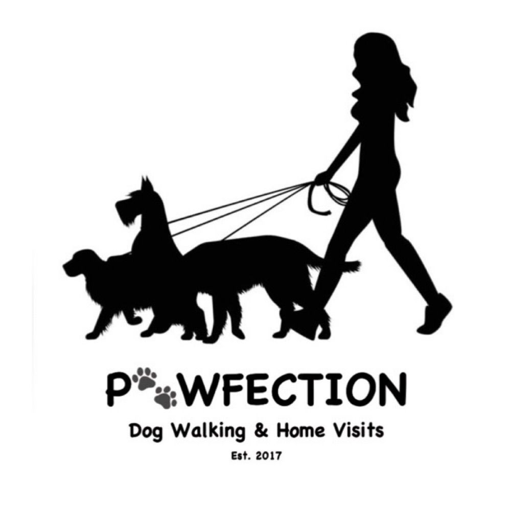 Pawfection Dog Walking