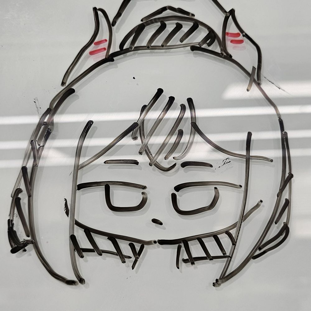 카모