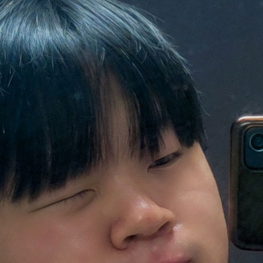 아리