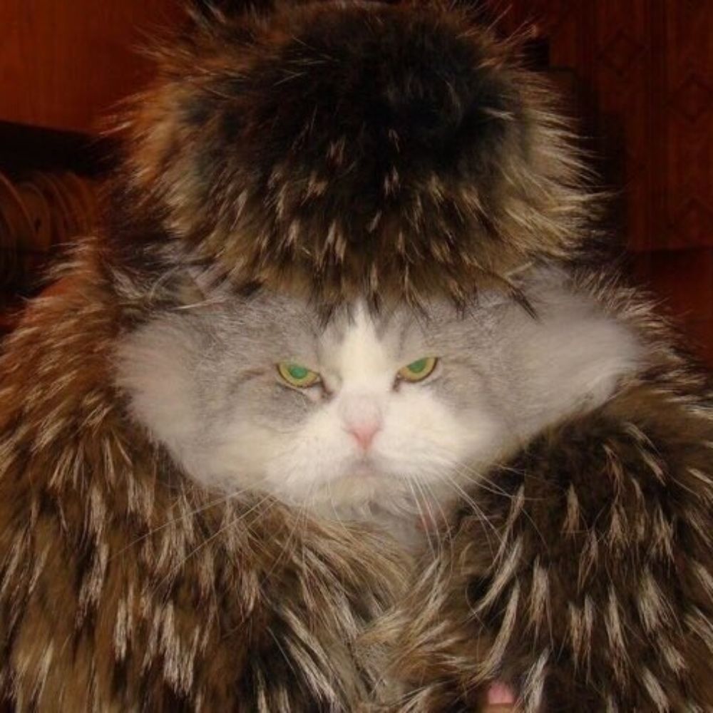 Димівна