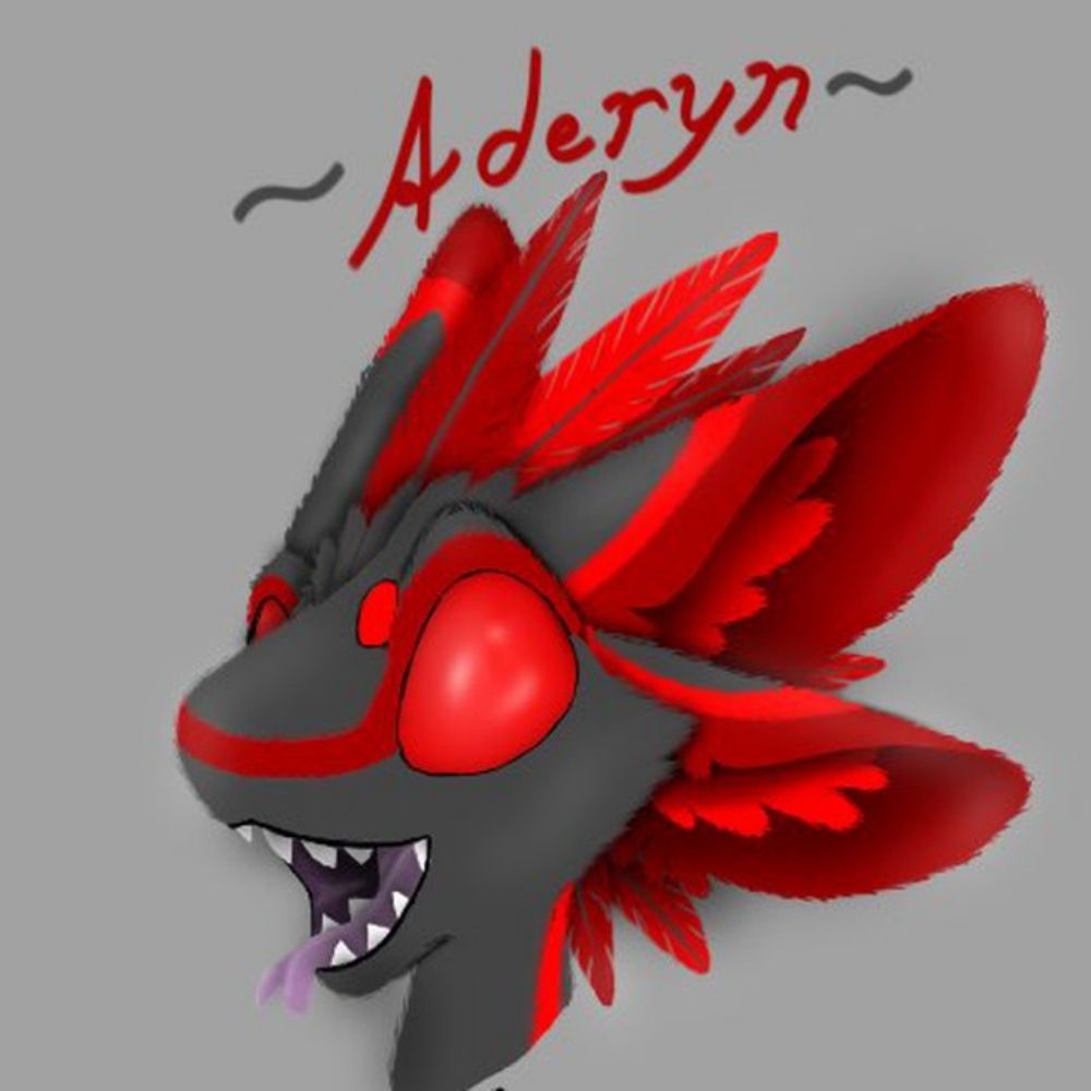 Aderyn