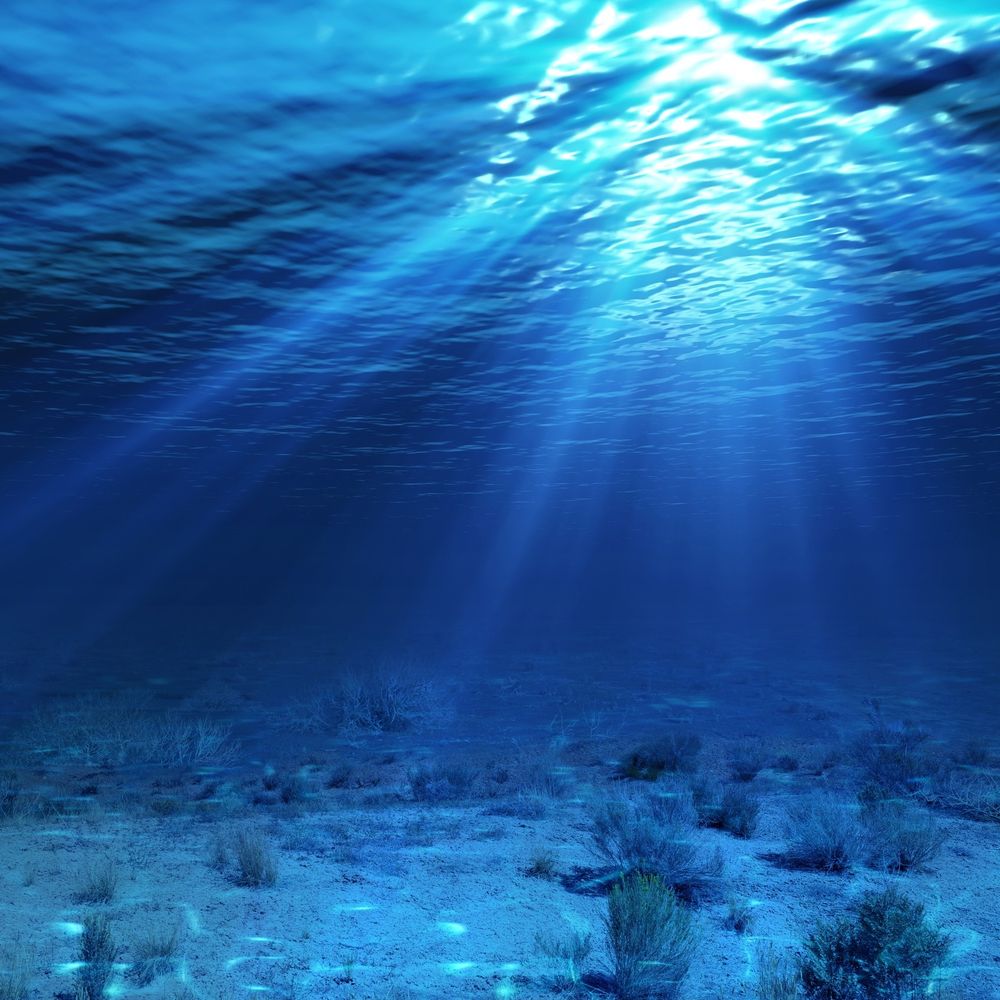 Benthic Thoughts