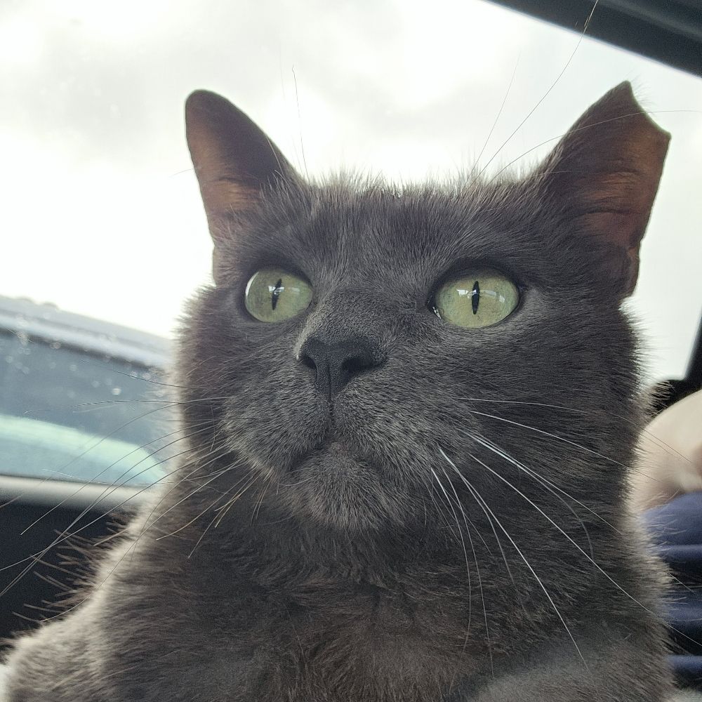 SiberianSpirit