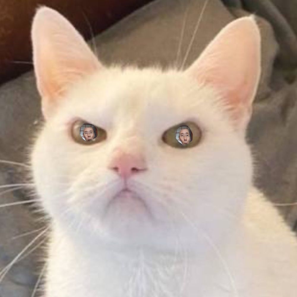 ゆき