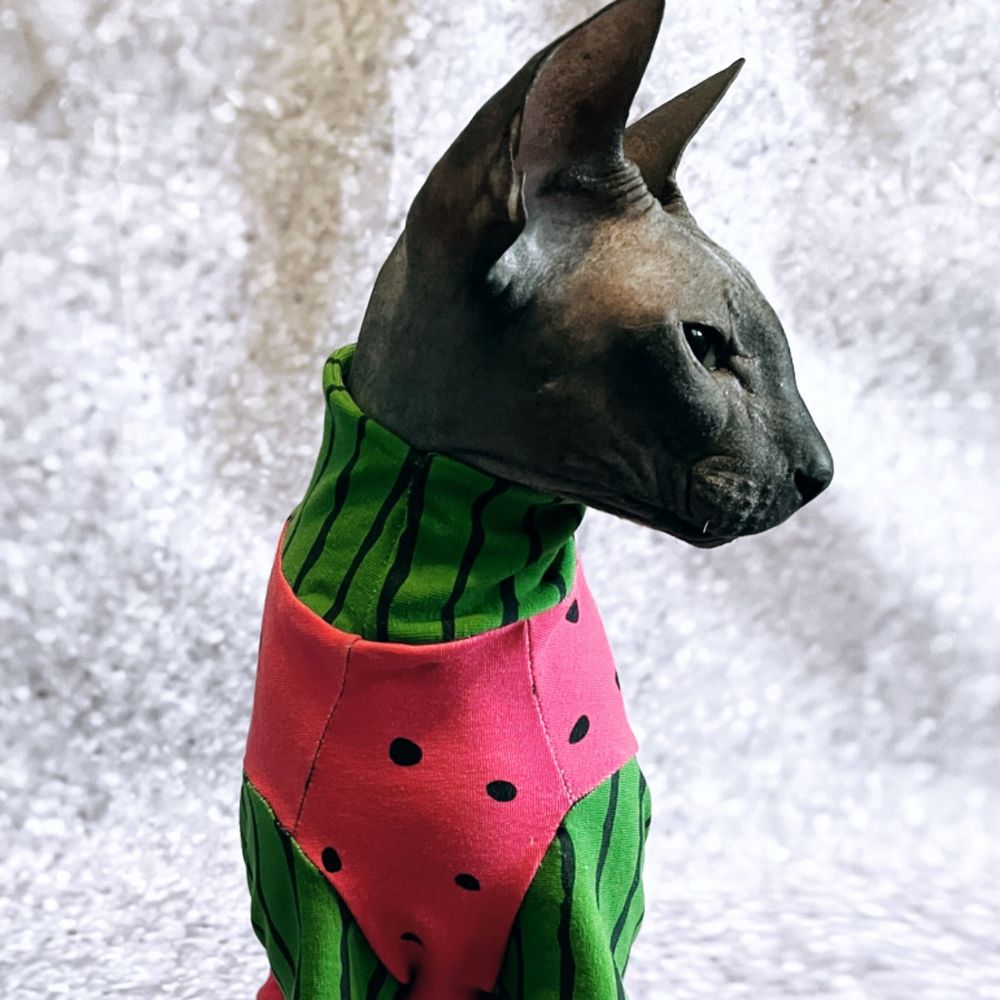Flint's Fashions 